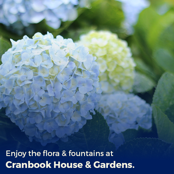 cranbook house and gardens